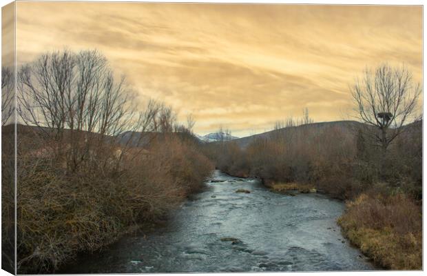 mountain river with vegetation and incredible skies Canvas Print by David Galindo