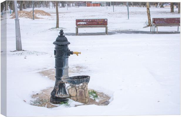 water fountain in the park with snow in winter Canvas Print by David Galindo