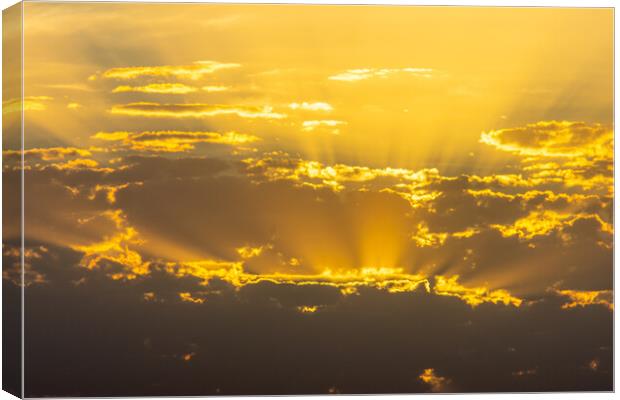 golden sunrise among clouds in summer Canvas Print by David Galindo