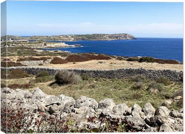 View from Fort Marlborough, Menorca Canvas Print by David Mather