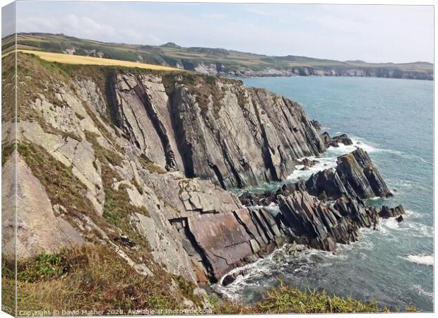 Rocky cliff near St. Davids, Pembrokeshire Canvas Print by David Mather