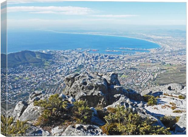 Cape Town from Table Mountain Canvas Print by David Mather