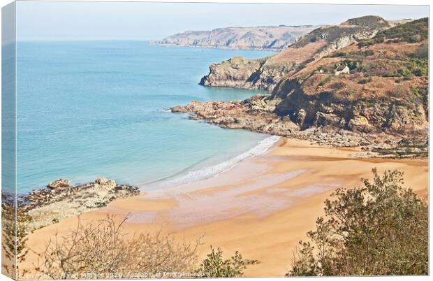 Beautiful sandy bay at Greve de Lacq, Jersey, Channel Islands Canvas Print by David Mather