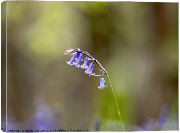 Bluebell Flower Canvas Print by Simon Johnson