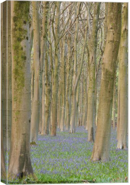  Trees and bluebells Canvas Print by Simon Johnson