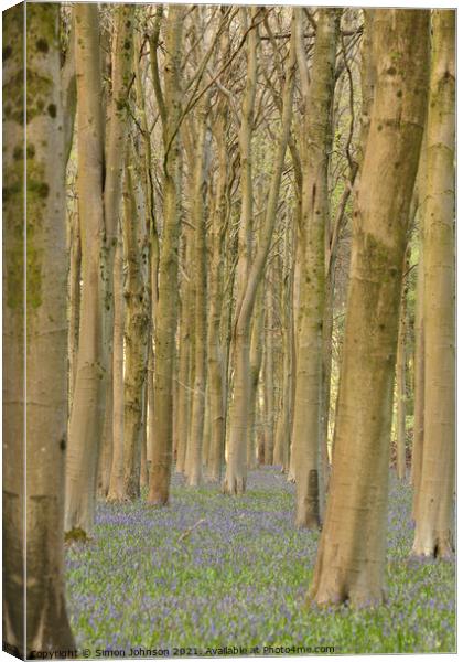 Bluebell Woods Canvas Print by Simon Johnson