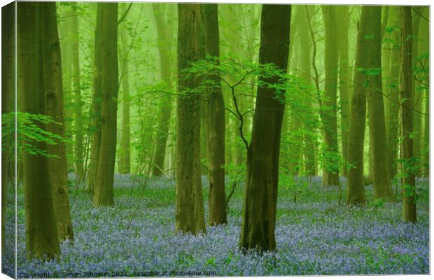 bluebells in the mist Canvas Print by Simon Johnson