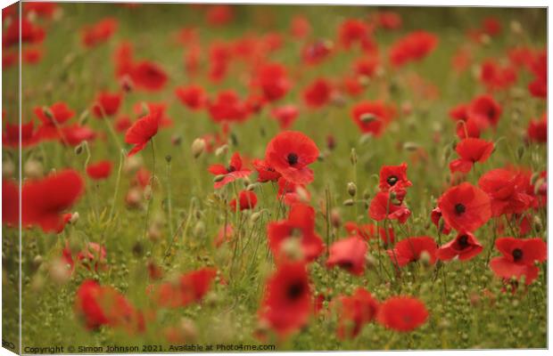 Cotswold poppies Canvas Print by Simon Johnson