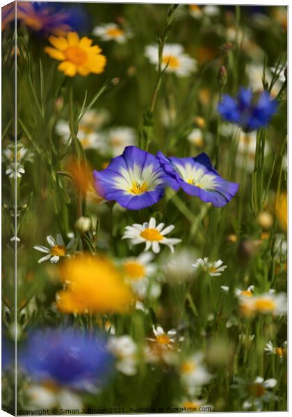 meadow Flowers Canvas Print by Simon Johnson
