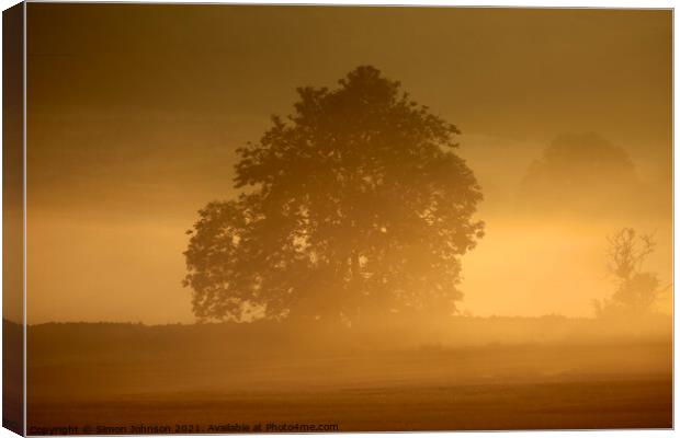 Morning Mist  Canvas Print by Simon Johnson