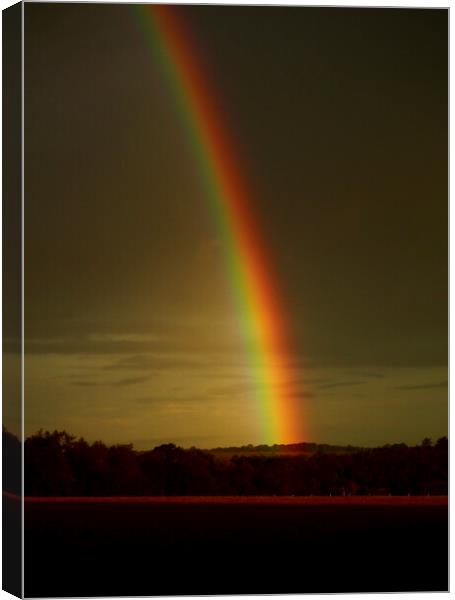 Over the rainbow Canvas Print by Simon Johnson