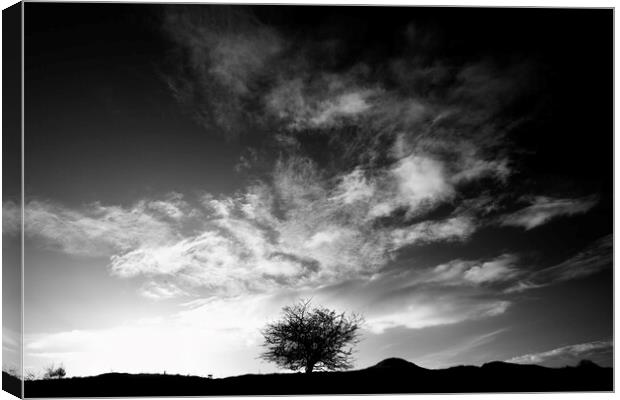 tree and clouds Canvas Print by Simon Johnson
