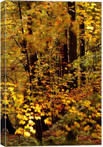 Sunlit wind blown autumn leaves Canvas Print by Simon Johnson