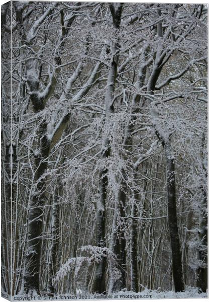 Winter woodland architecture  Canvas Print by Simon Johnson
