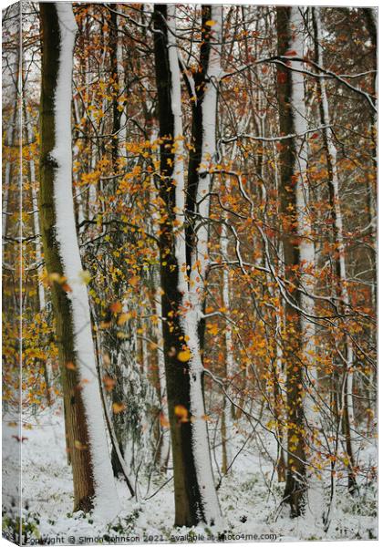Winter woodland and autumn leaves Canvas Print by Simon Johnson