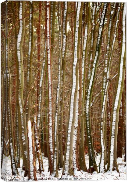 frosted tree trunks Canvas Print by Simon Johnson
