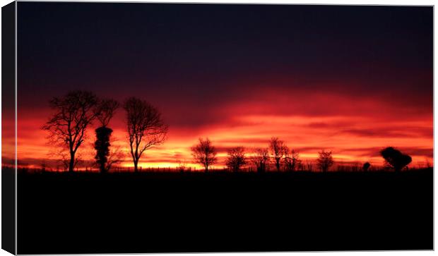 Cotswold sunrise Canvas Print by Simon Johnson