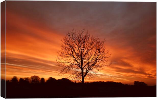 Cotswold sunrise Canvas Print by Simon Johnson
