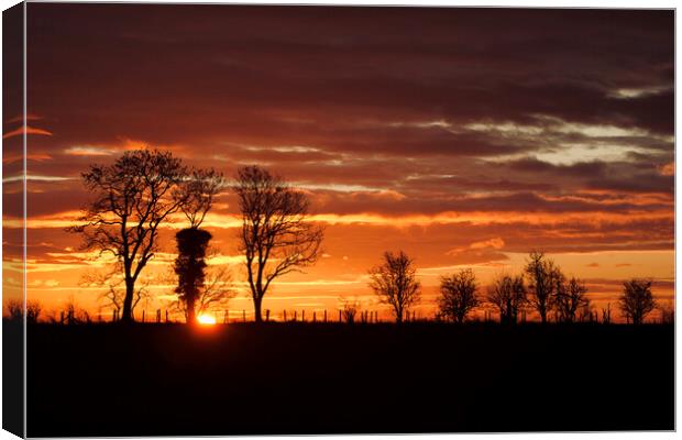 Cotswold sunrise Canvas Print by Simon Johnson