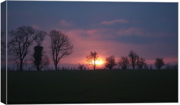 A glimpse of morning sunlight  Canvas Print by Simon Johnson