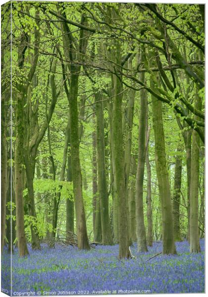 Bluebell woodland Canvas Print by Simon Johnson
