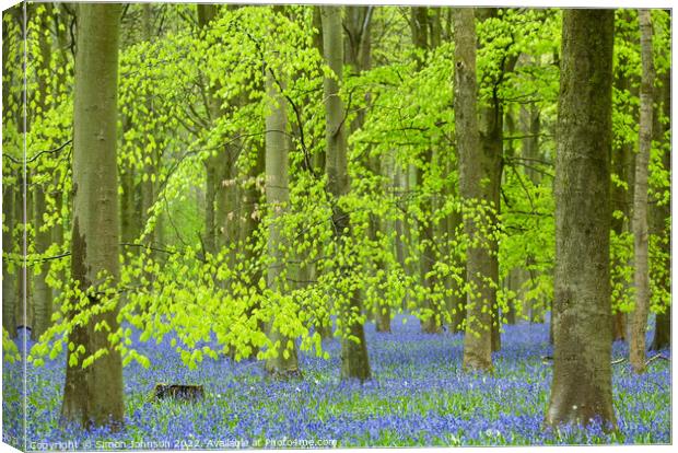 luminous Bluebell woodland Canvas Print by Simon Johnson