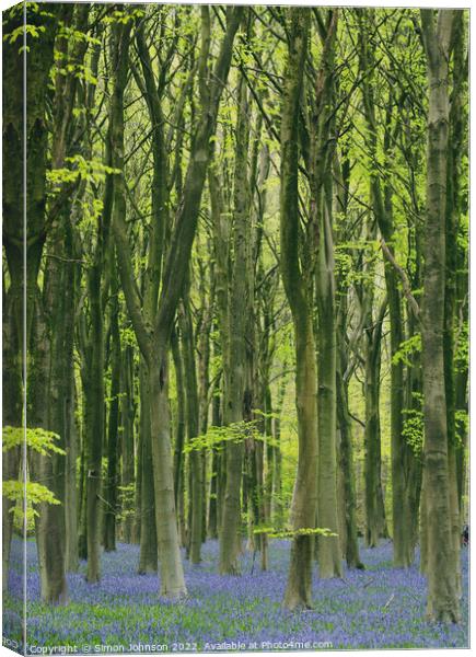 Blkuebell woodland Canvas Print by Simon Johnson