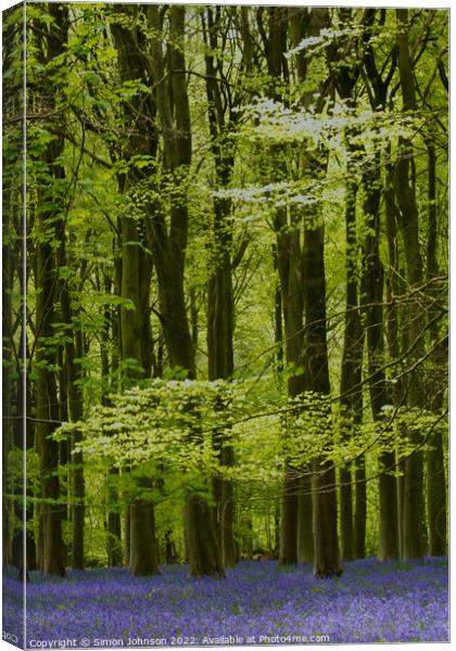Bluebells Wood Canvas Print by Simon Johnson