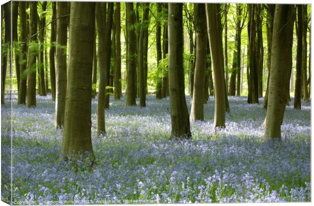 Bluebell woodland Canvas Print by Simon Johnson