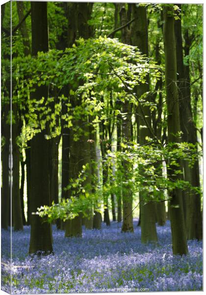 Bluebell Woodland Canvas Print by Simon Johnson
