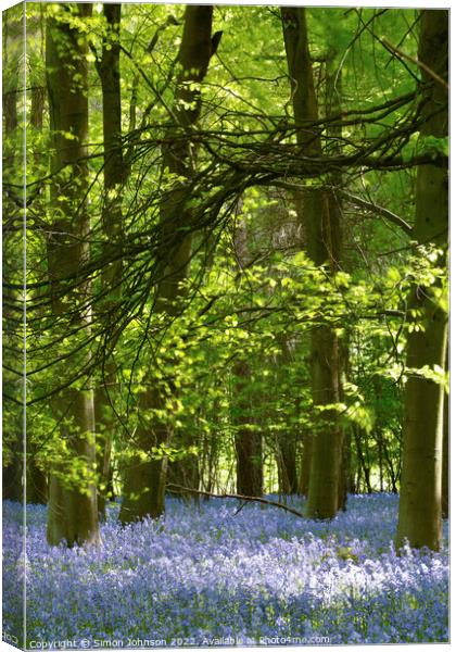 sunlit Bluebells Canvas Print by Simon Johnson