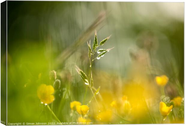  grass and buttercups  with dew drops Canvas Print by Simon Johnson