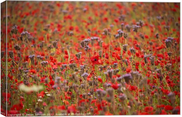 Outdoor field Canvas Print by Simon Johnson