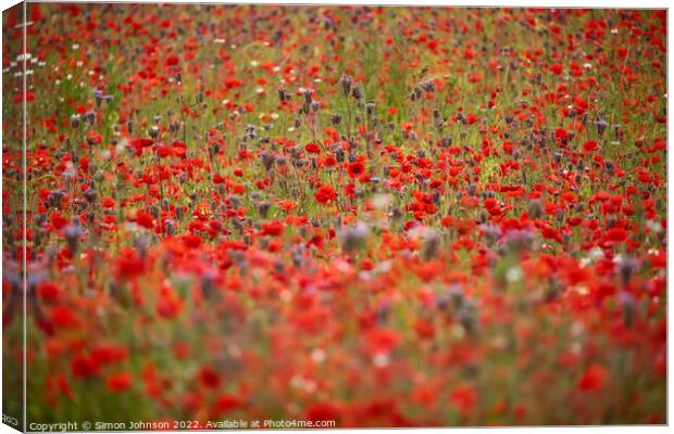 poppy field Canvas Print by Simon Johnson