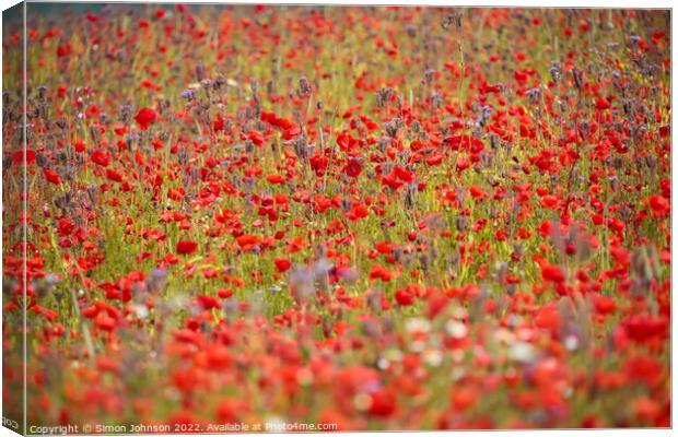 wind blown poppies  Canvas Print by Simon Johnson