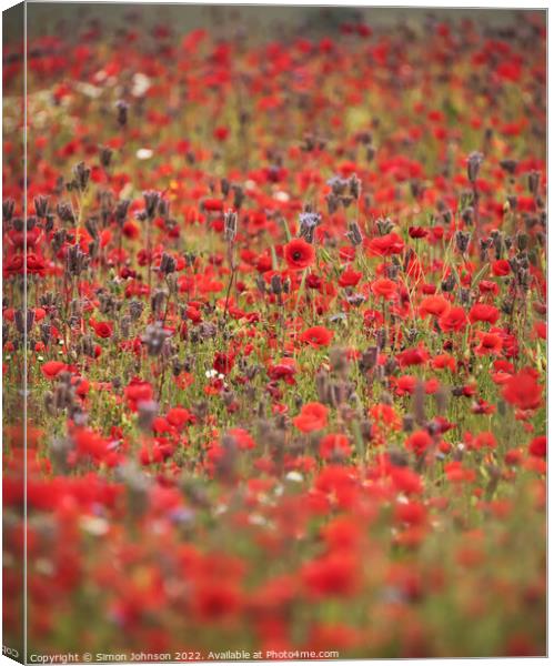 Poppys and meadow flowers  Canvas Print by Simon Johnson