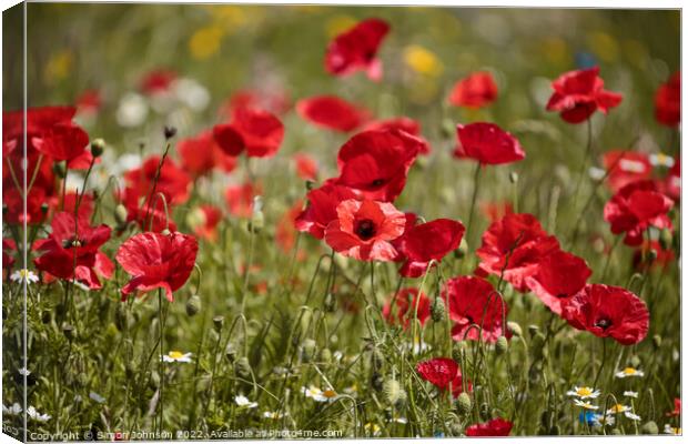 wind blown poppies Canvas Print by Simon Johnson