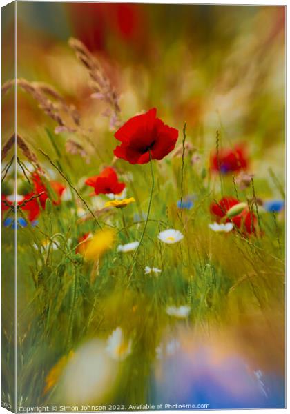 Poppy Impressionism Canvas Print by Simon Johnson