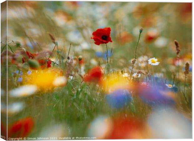 Plant flower Canvas Print by Simon Johnson