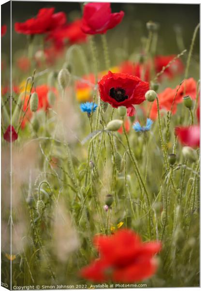 Poppys Canvas Print by Simon Johnson