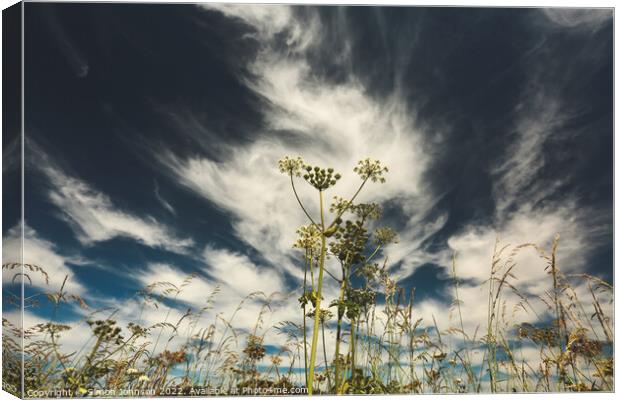 Sky cloud Canvas Print by Simon Johnson