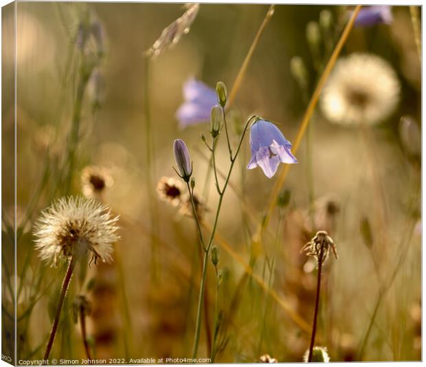 Harebell world Canvas Print by Simon Johnson