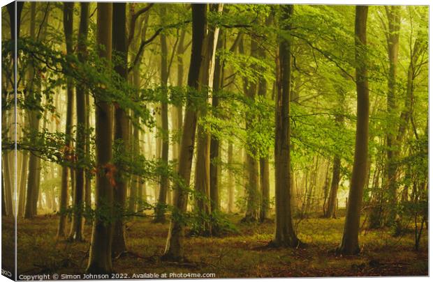 soft woodland light Canvas Print by Simon Johnson