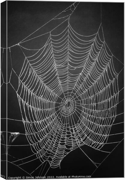 Spider architecture  Canvas Print by Simon Johnson