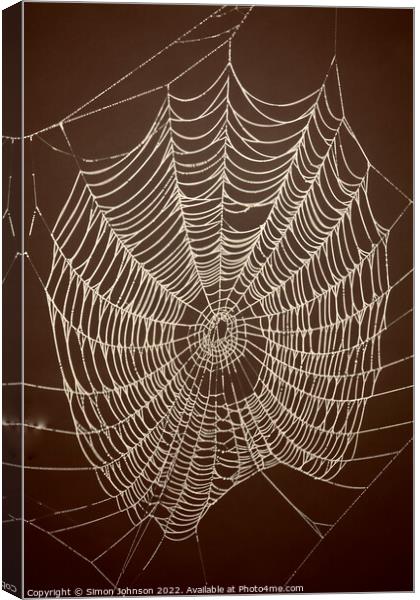Spiders web Canvas Print by Simon Johnson