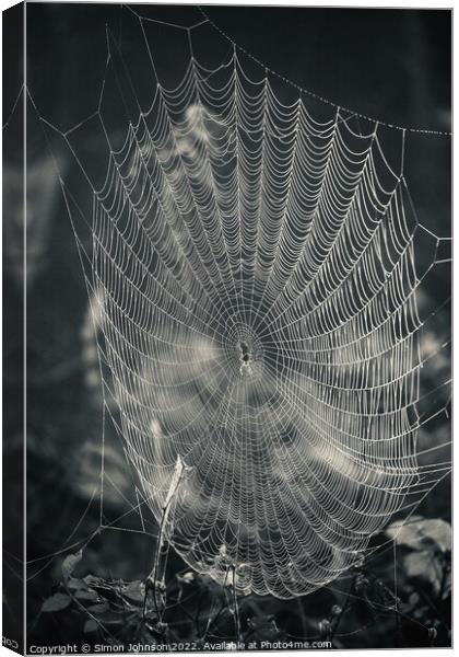 Spider and his construction Canvas Print by Simon Johnson