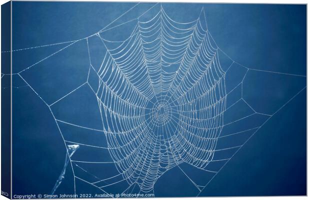 Cobweb  Canvas Print by Simon Johnson