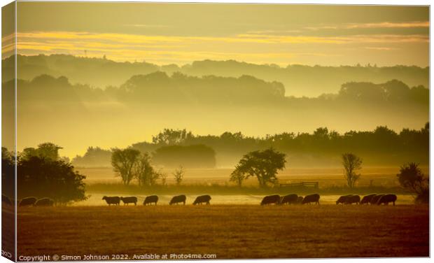 sheep prosession Canvas Print by Simon Johnson