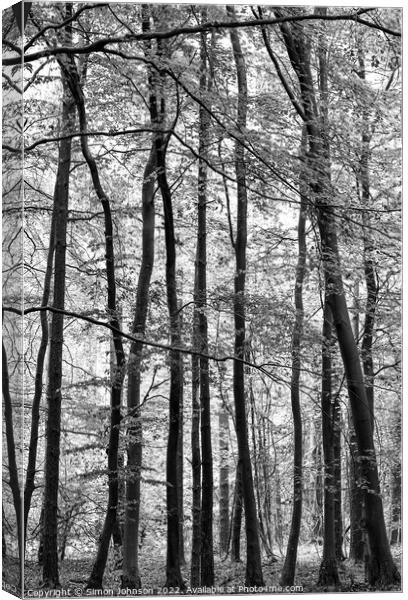 woodland in monochrome Canvas Print by Simon Johnson
