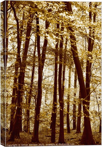 Plant tree Canvas Print by Simon Johnson